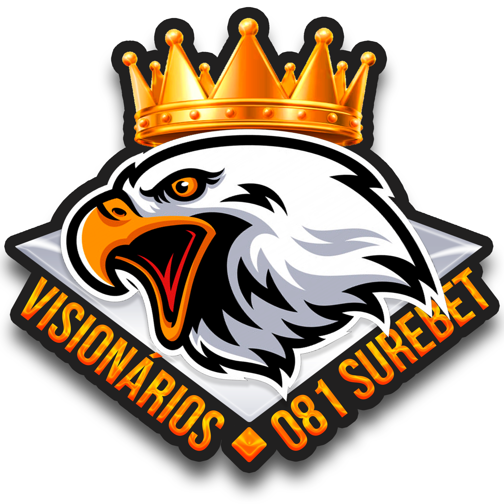 VS081 SUREBET
